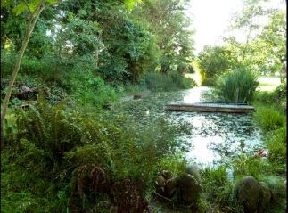 La mare du lieu-dit Plu à Bretx.