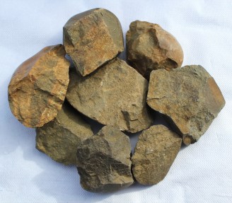 Choppers -Bretx-2019